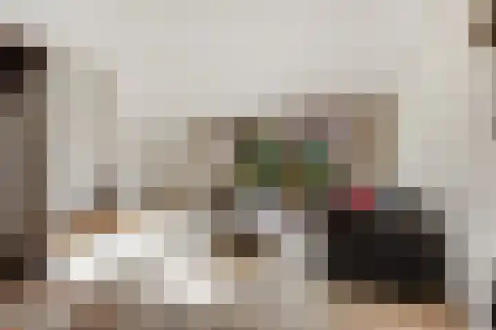 Alpenroos 6 Leiden thumbnail 4