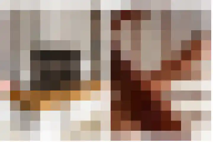 Alpenroos 6 Leiden thumbnail 6