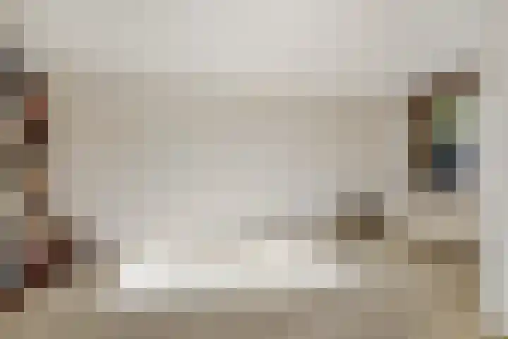 Alpenroos 6 Leiden thumbnail 7