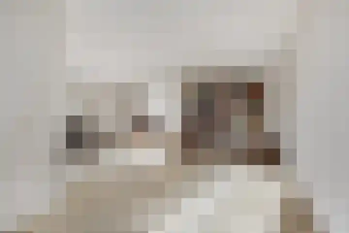 Alpenroos 6 Leiden thumbnail 8