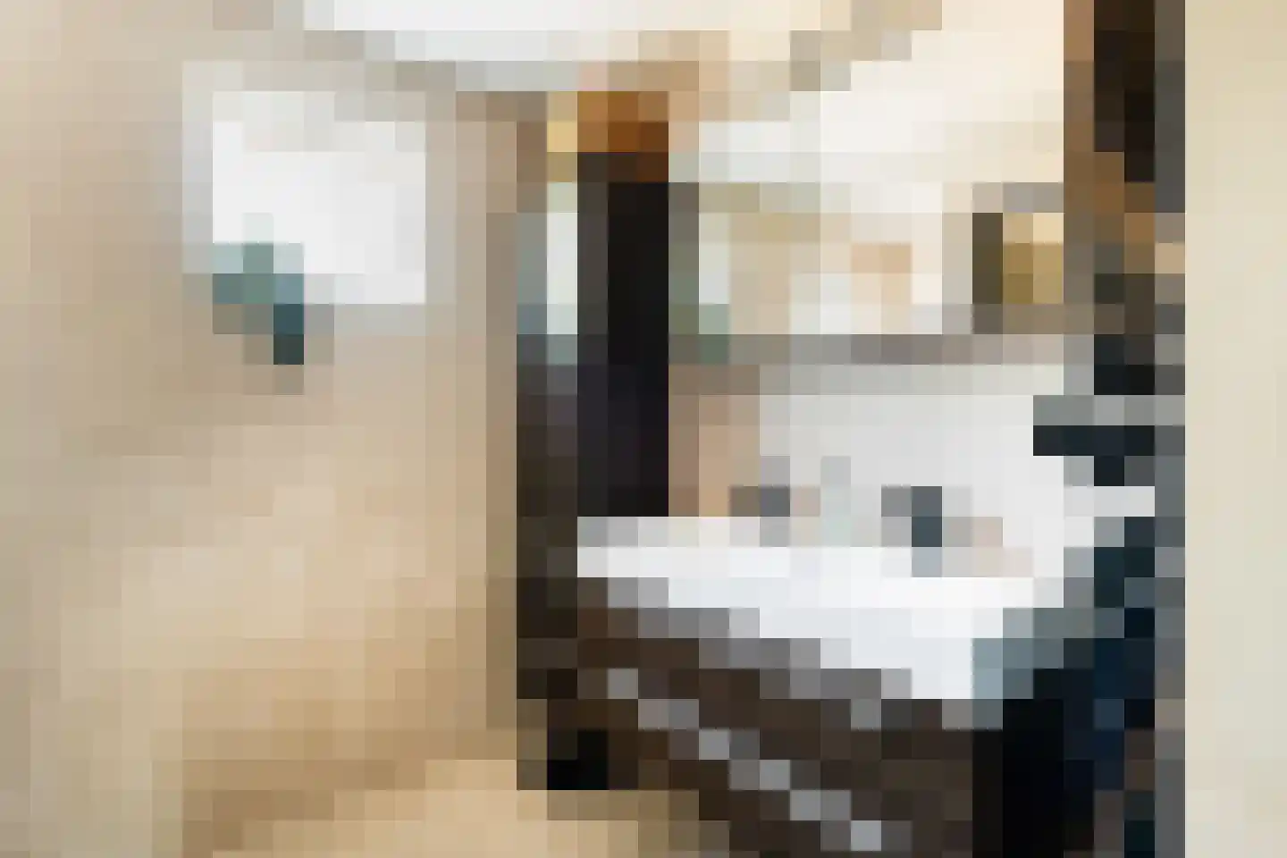 Alpenstraat 72 Woerden thumbnail 31