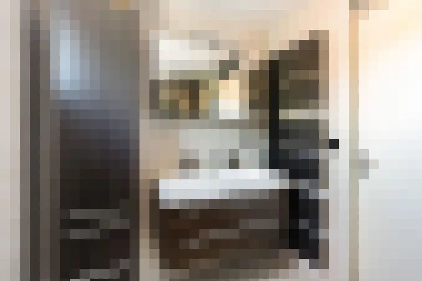Alpenstraat 72 Woerden thumbnail 34