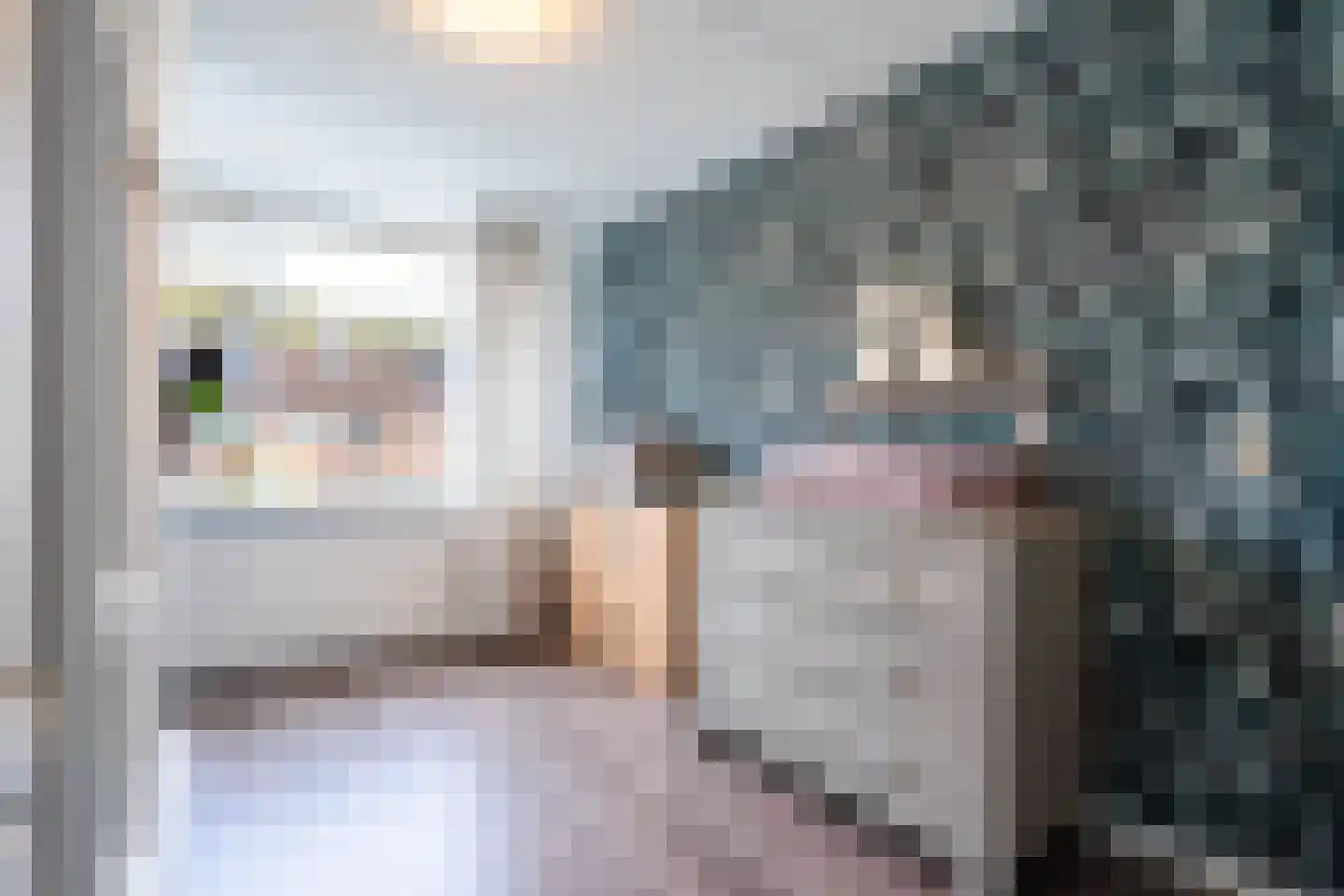 Alpenweide 414 Tilburg thumbnail 17