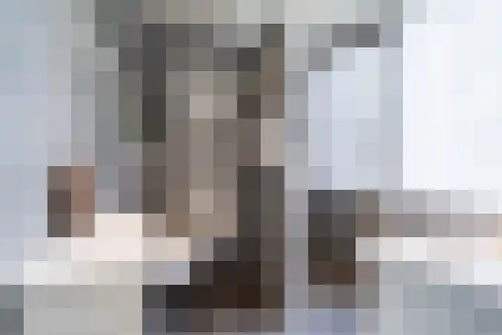 Alpenweide 414 Tilburg thumbnail 19