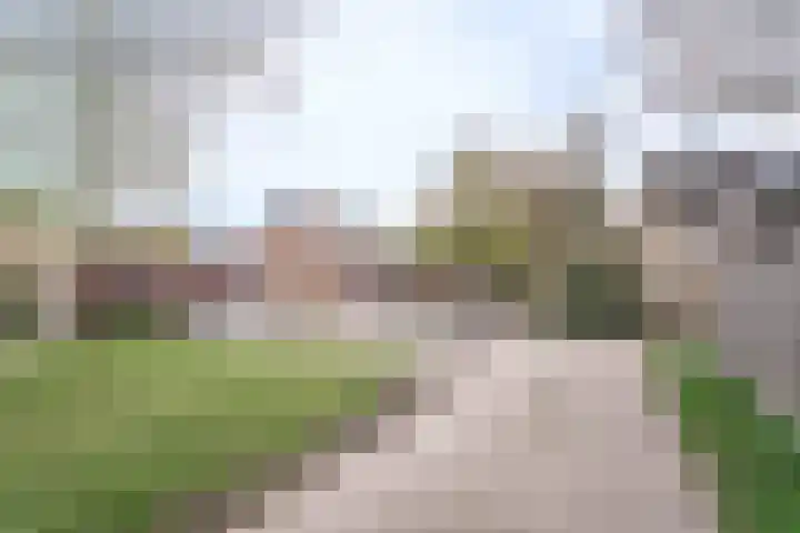 Alpenweide 414 Tilburg thumbnail 28
