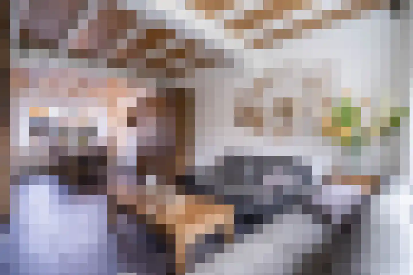 Alpenweide 414 Tilburg thumbnail 4
