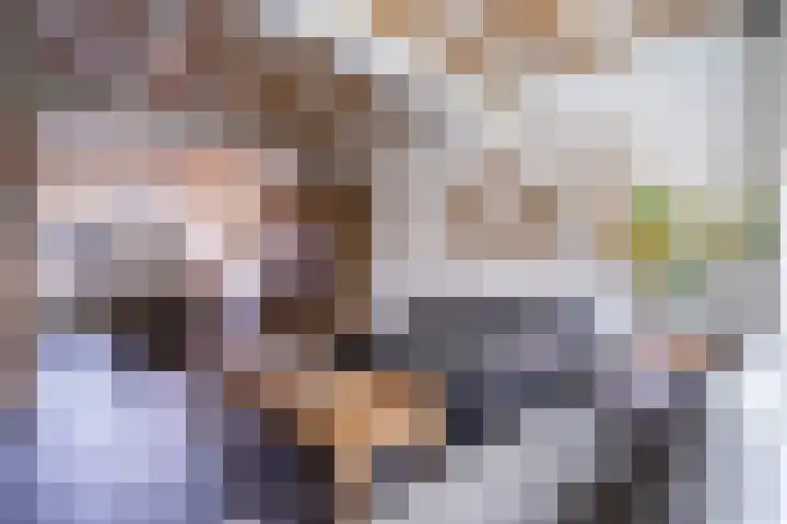 Alpenweide 414 Tilburg thumbnail 4