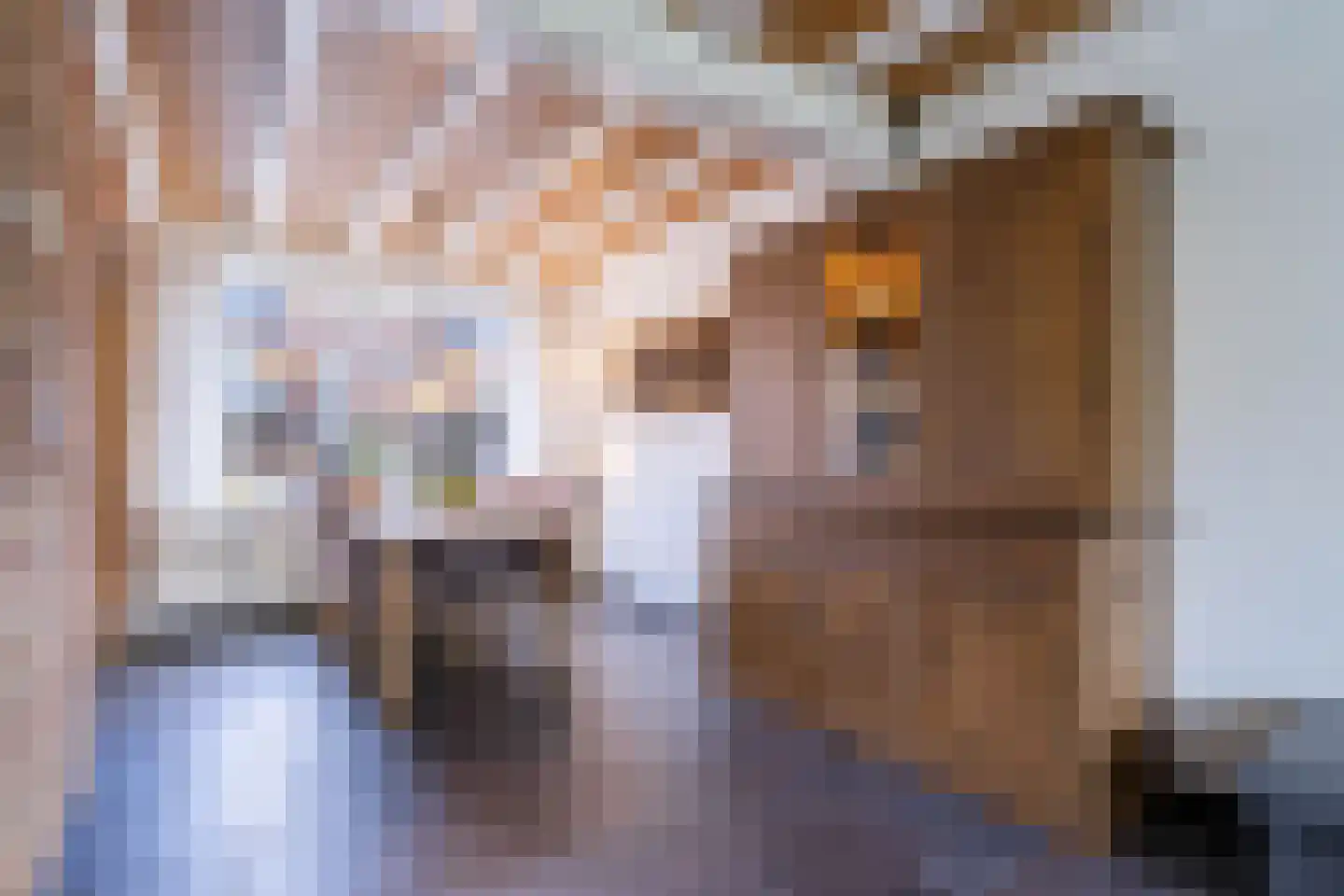 Alpenweide 414 Tilburg thumbnail 5