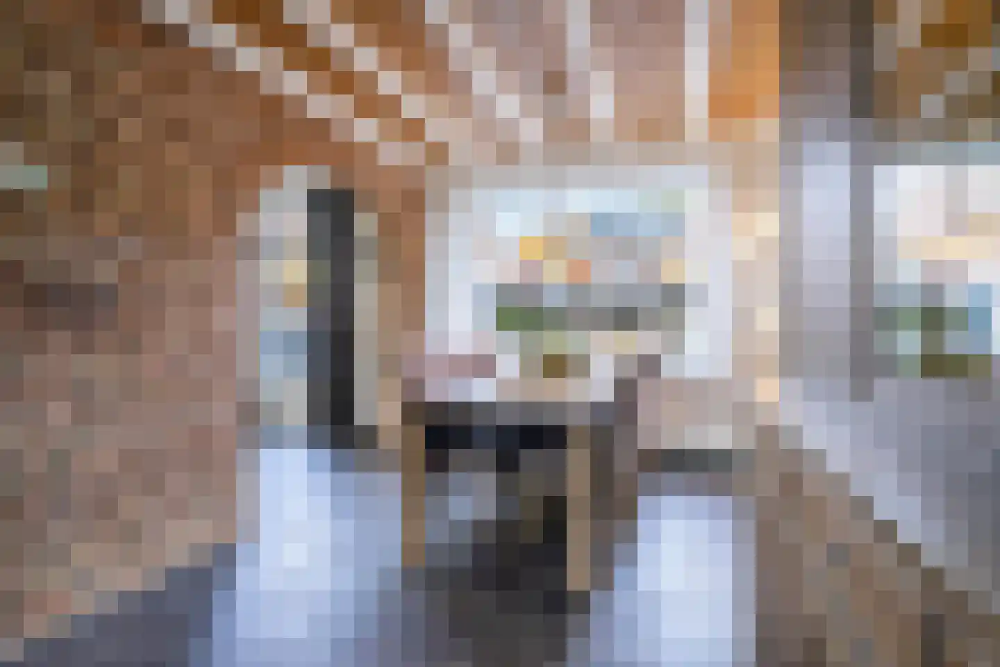 Alpenweide 414 Tilburg thumbnail 6