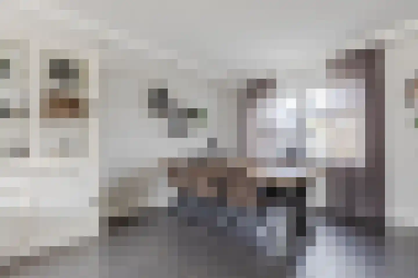 Alpenwoud 515 Tilburg thumbnail 11