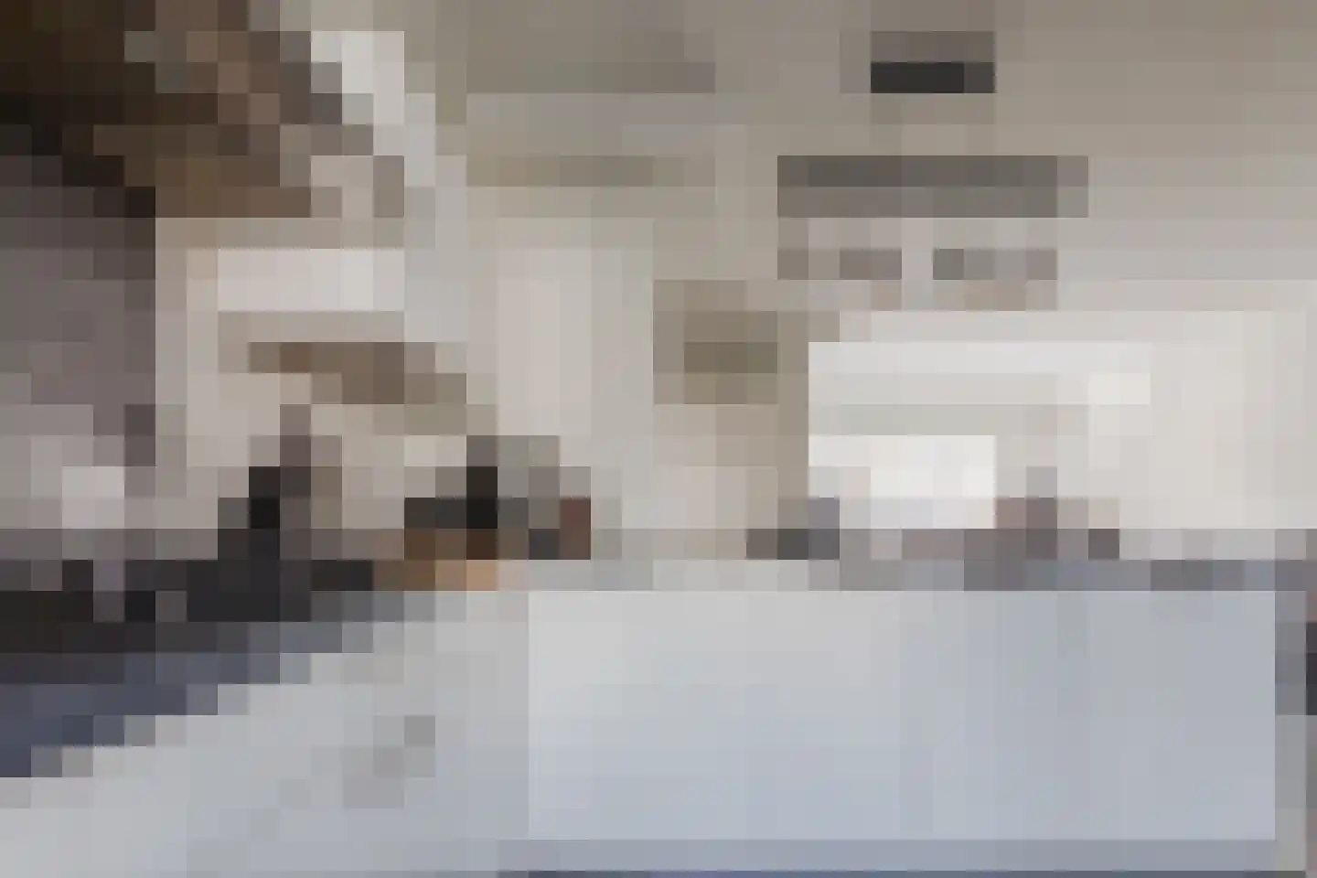Alpenwoud 515 Tilburg thumbnail 15