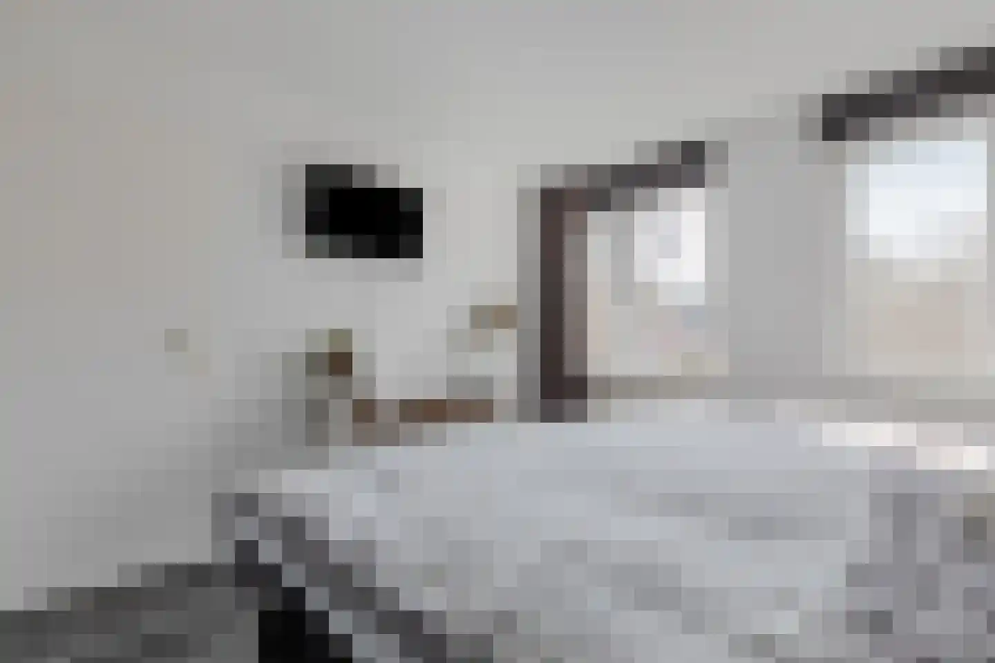 Alpenwoud 515 Tilburg thumbnail 21