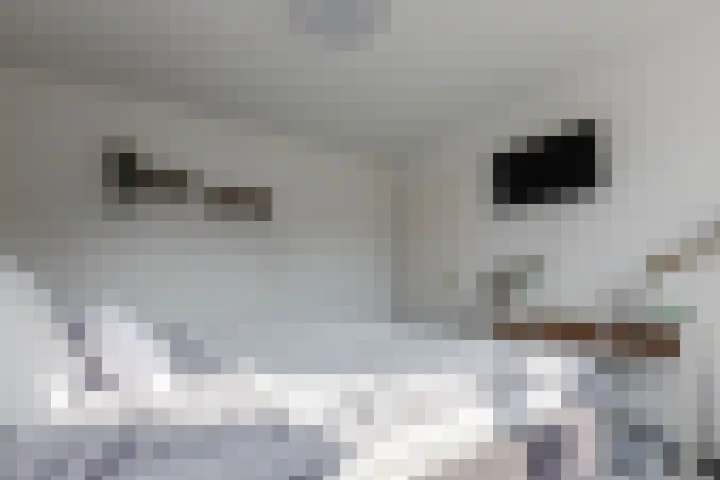 Alpenwoud 515 Tilburg thumbnail 23