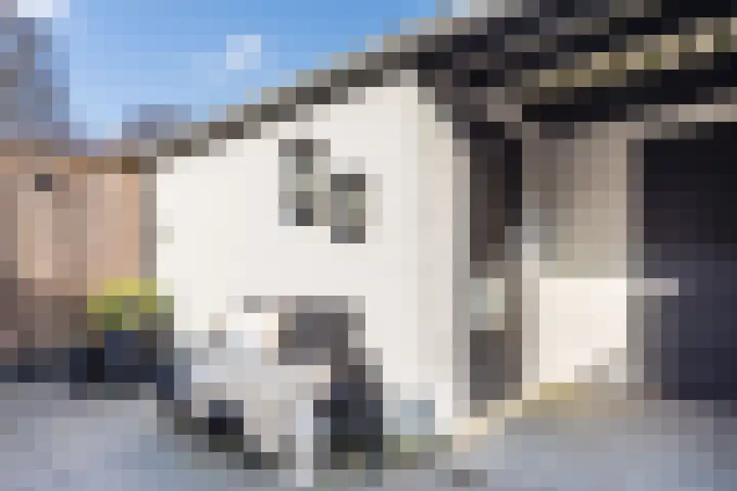 Alpenwoud 515 Tilburg thumbnail 43