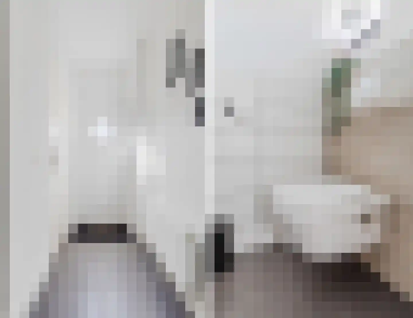 Alpenwoud 515 Tilburg thumbnail 7