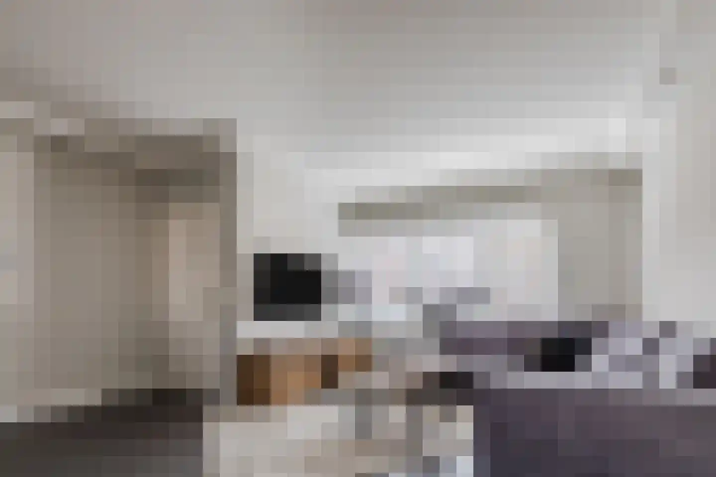 Alpenwoud 515 Tilburg thumbnail 9