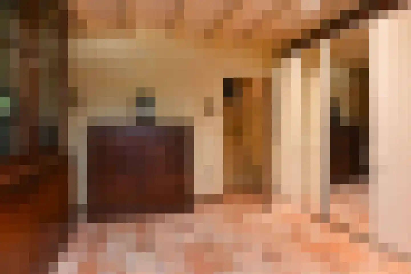 Alphensebaan 11 Chaam thumbnail 14