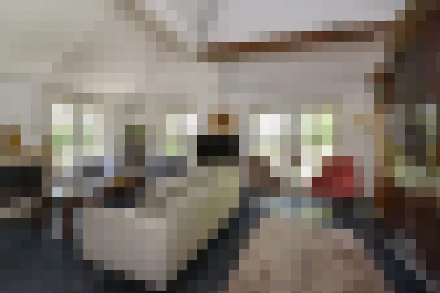 Alphensebaan 11 Chaam thumbnail 16