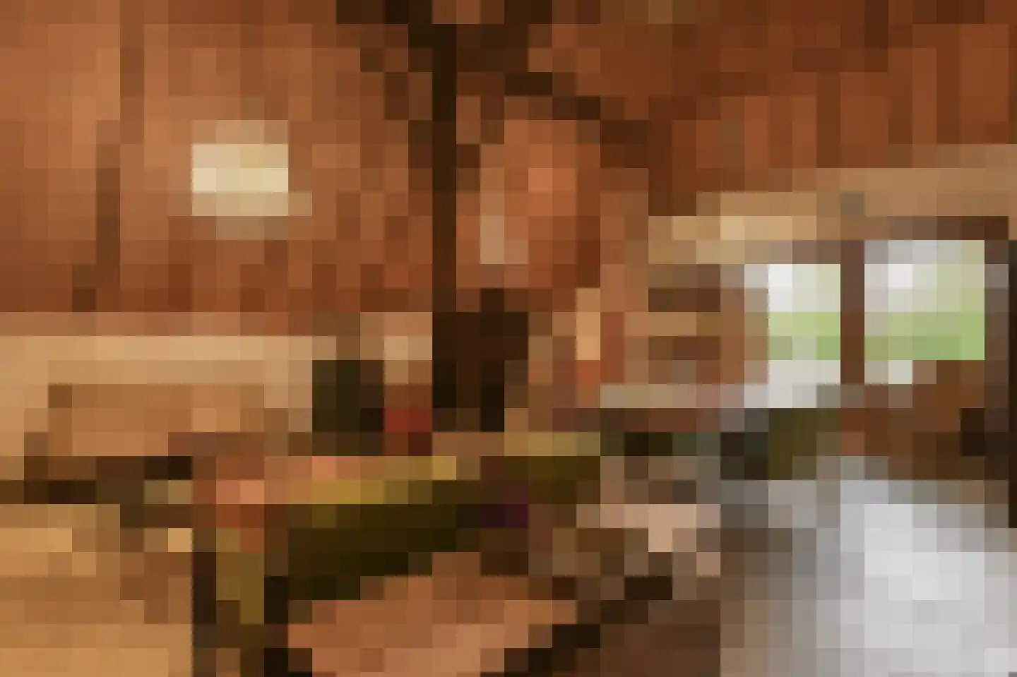 Alphensebaan 11 Chaam thumbnail 18