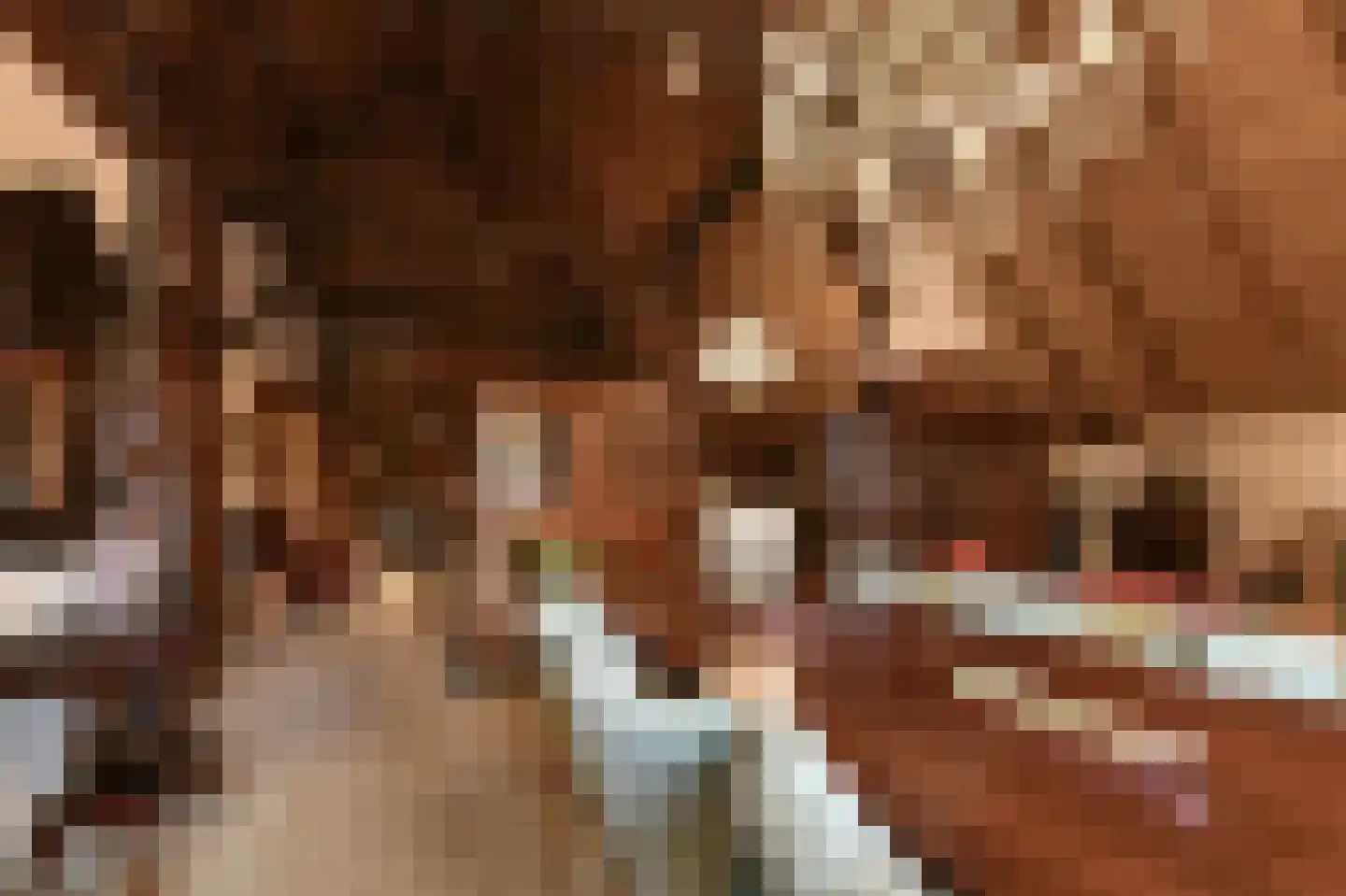 Alphensebaan 11 Chaam thumbnail 19