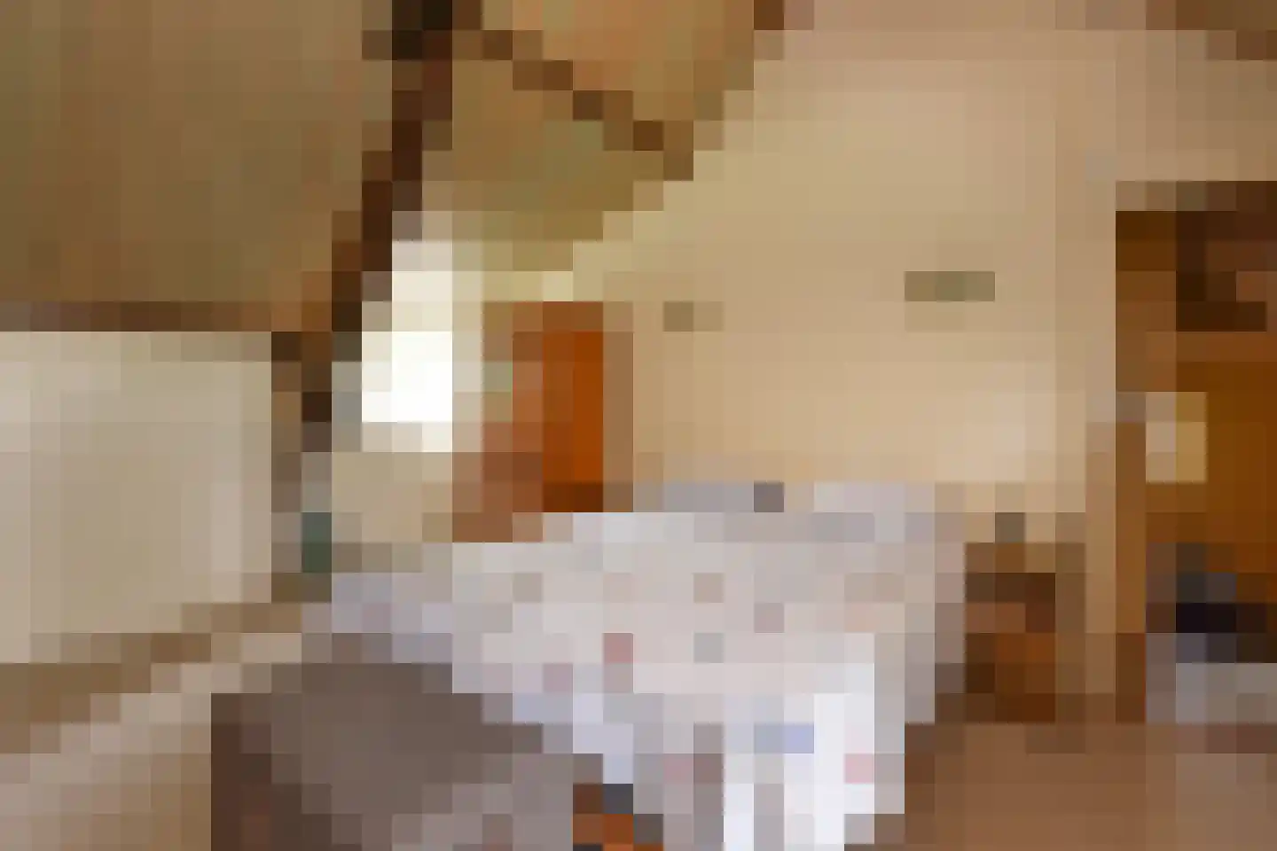 Alphensebaan 11 Chaam thumbnail 22