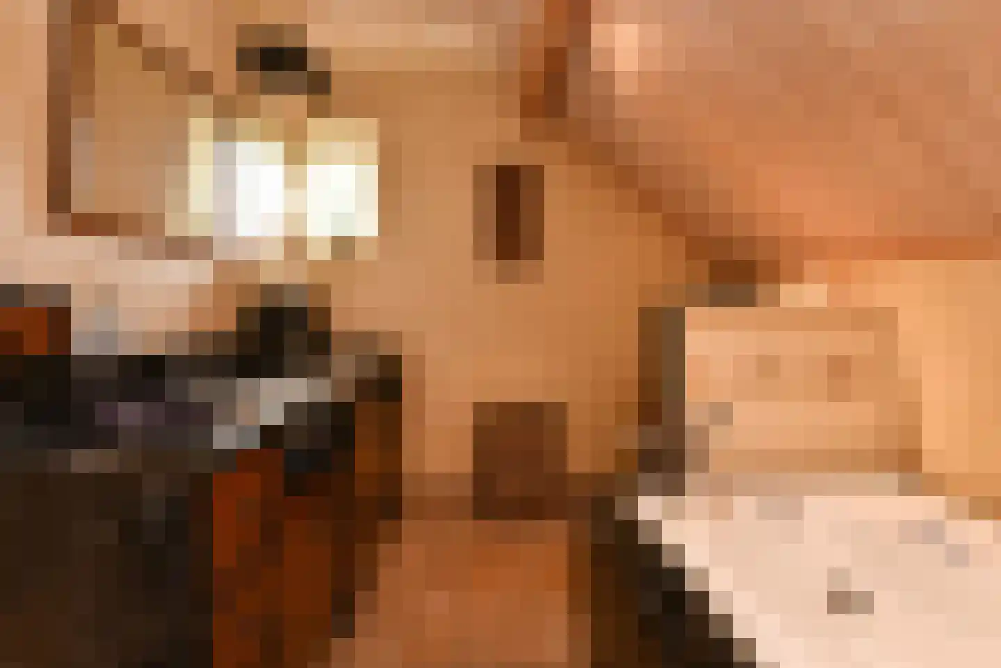 Alphensebaan 11 Chaam thumbnail 25