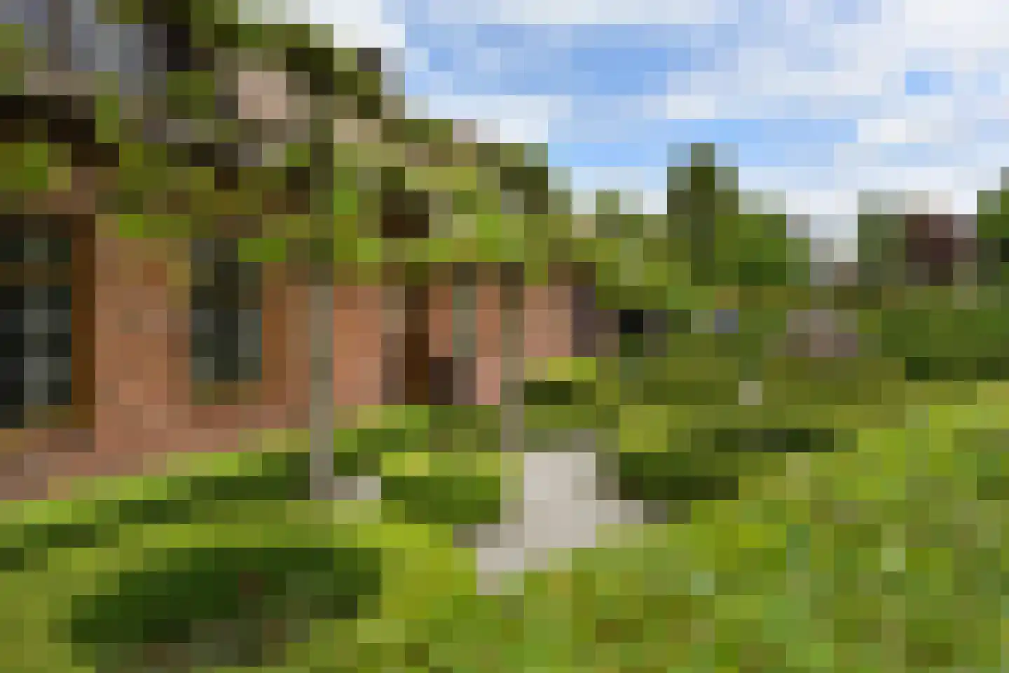 Alphensebaan 11 Chaam thumbnail 33