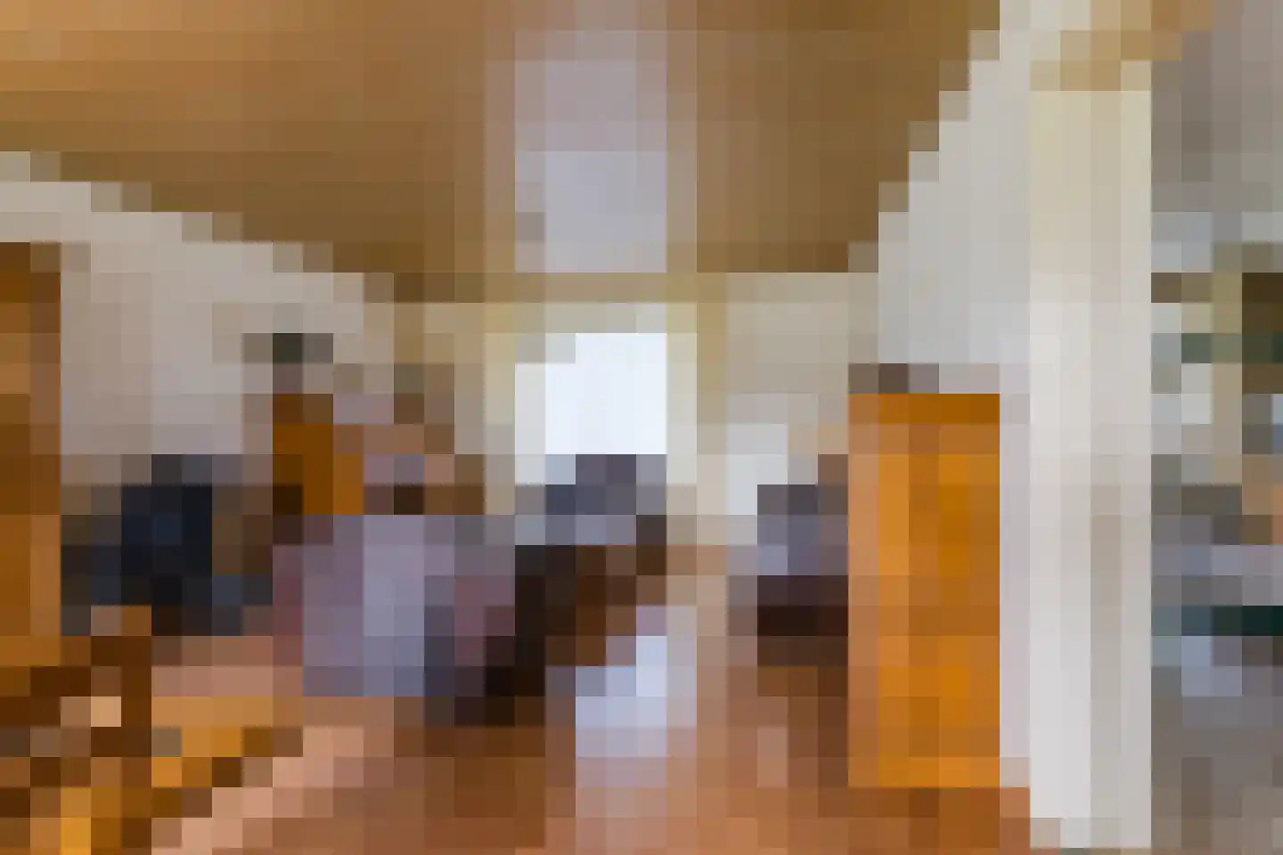 Alphensebaan 18 Chaam thumbnail 20