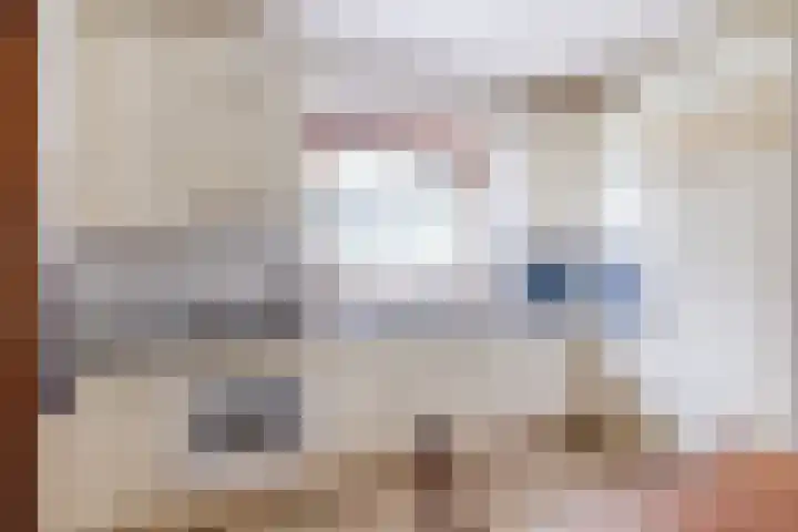 Alphensebaan 18 Chaam thumbnail 23