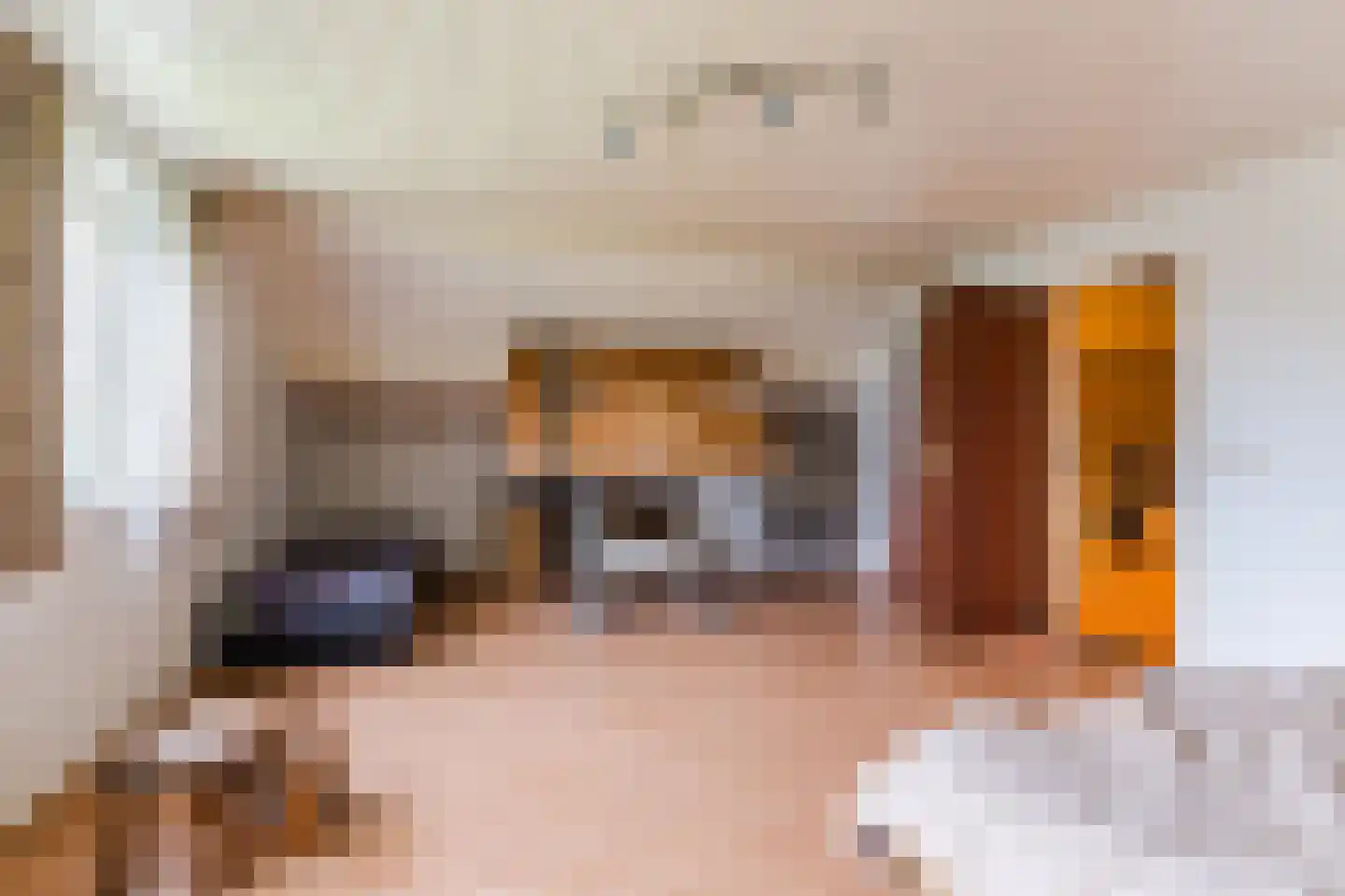 Alphensebaan 18 Chaam thumbnail 39