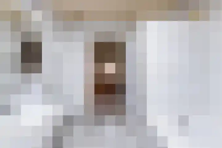 Alphensebaan 18 Chaam thumbnail 41