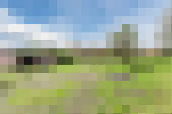 Alphensebaan 18 Chaam thumbnail 46