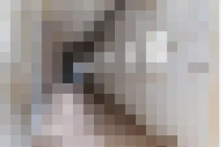 Alphensebaan 18 Chaam thumbnail 52