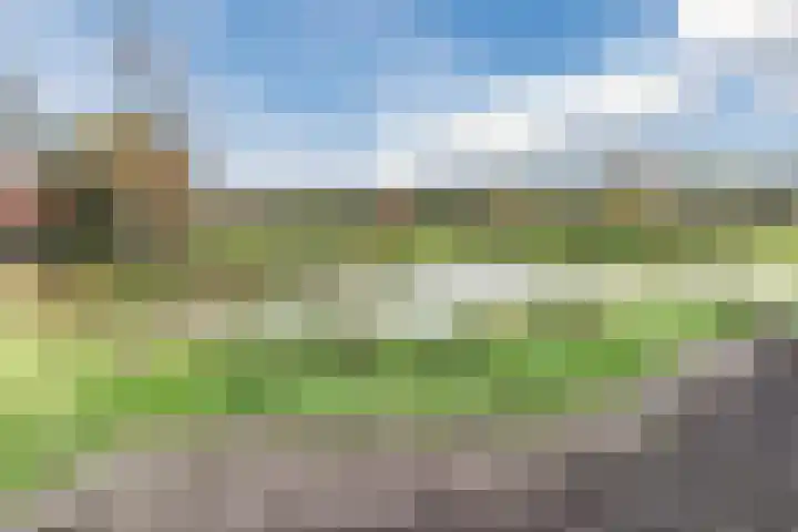 Alphensebaan 18 Chaam thumbnail 56