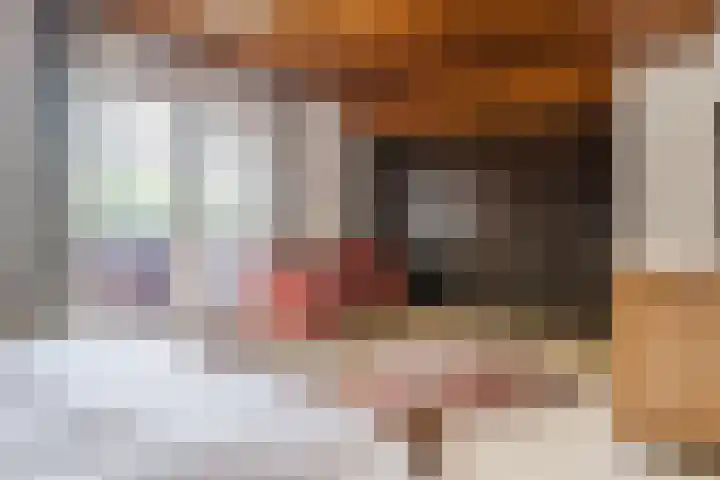 Alphensebaan 31 Gilze thumbnail 34