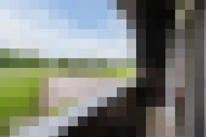 Alphensebaan 31 Gilze thumbnail 35
