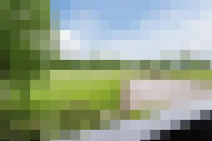 Alphensebaan 31 Gilze thumbnail 36