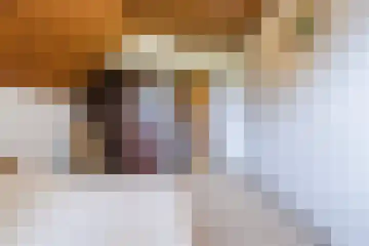 Alphensebaan 31 Gilze thumbnail 38