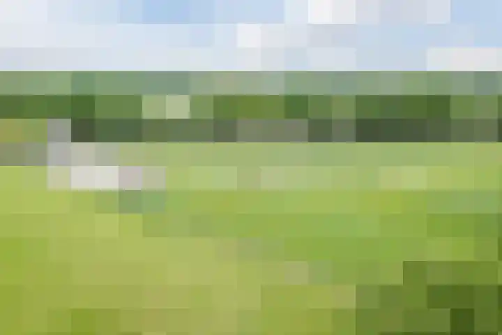 Alphensebaan 31 Gilze thumbnail 4