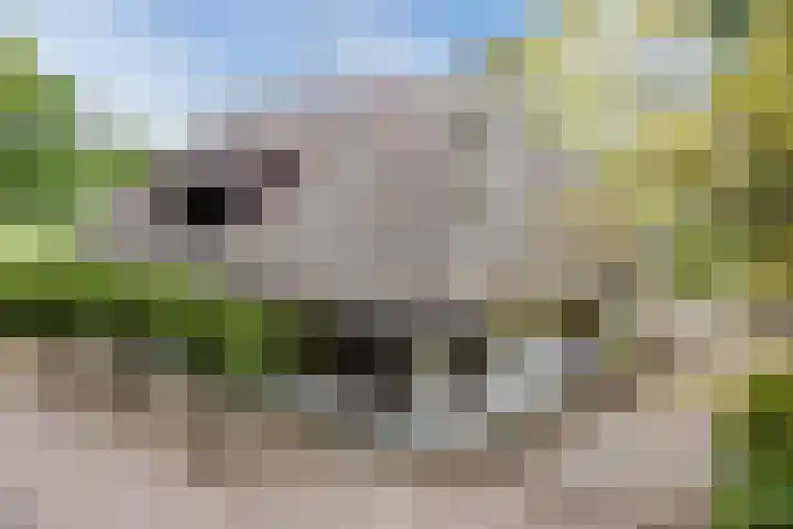 Alphensebaan 31 Gilze thumbnail 5