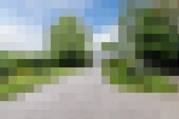 Alphensebaan 31 Gilze thumbnail 52