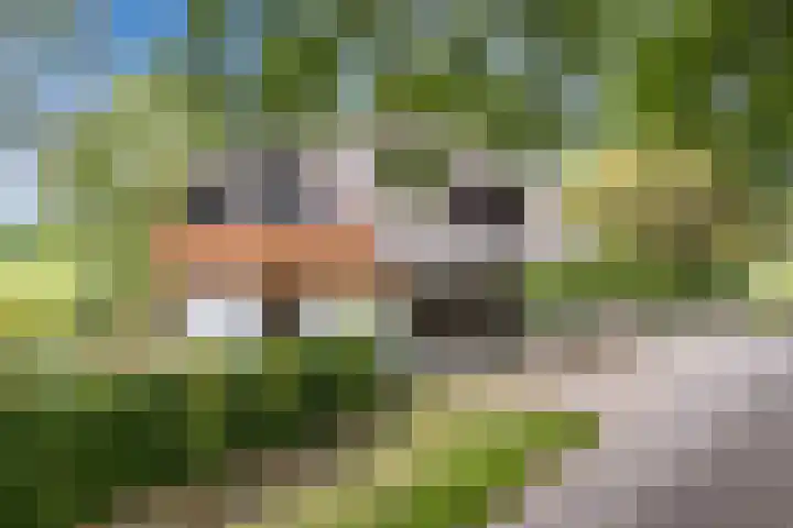 Alphensebaan 31 Gilze thumbnail 6