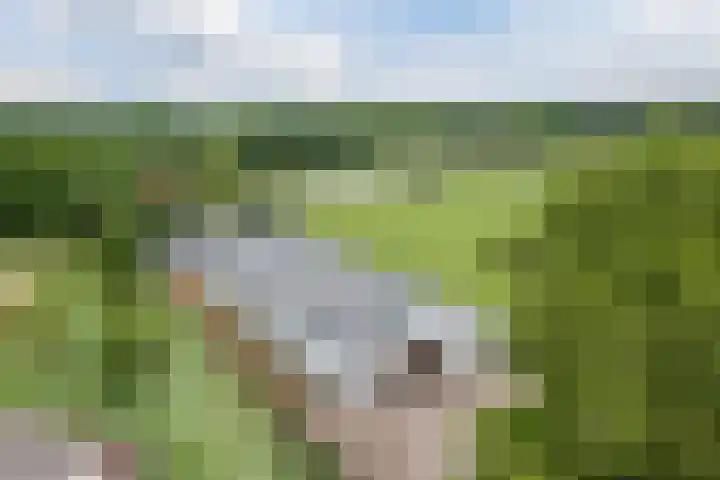 Alphensebaan 31 Gilze thumbnail 62