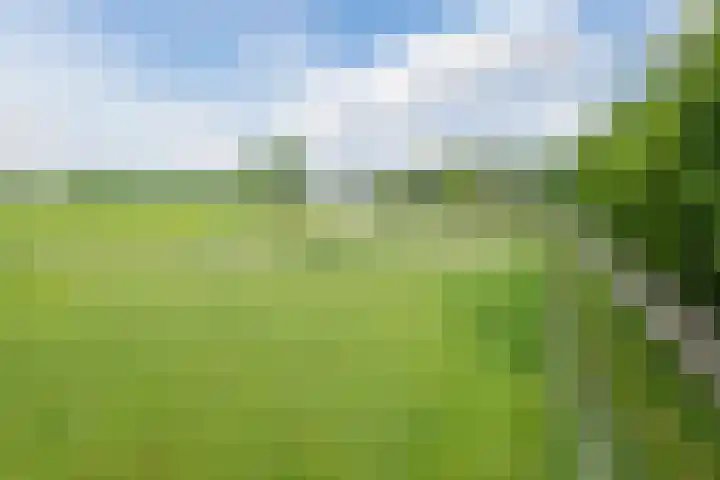 Alphensebaan 31 Gilze thumbnail 63