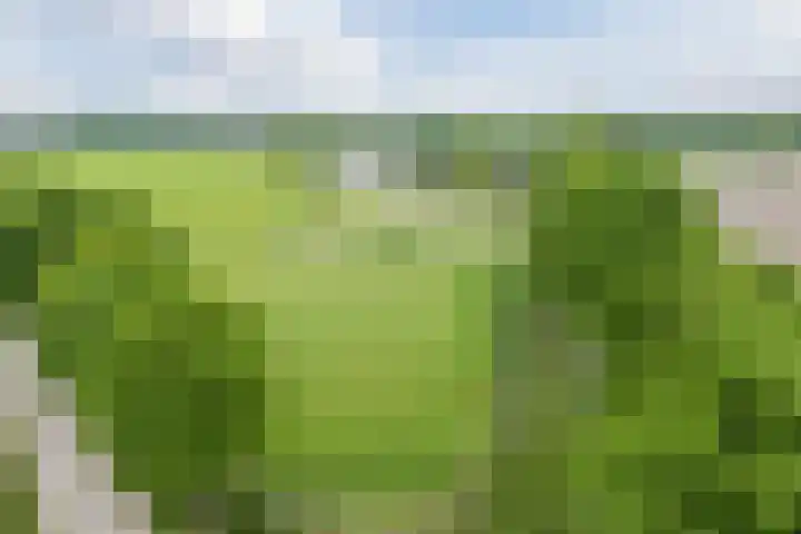 Alphensebaan 31 Gilze thumbnail 64
