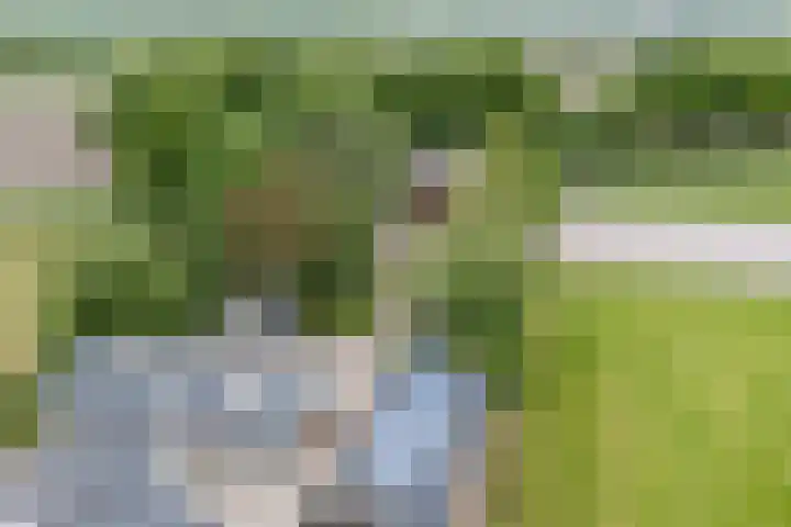 Alphensebaan 31 Gilze thumbnail 7