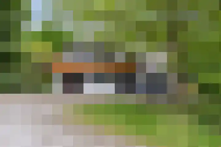 Alphensebaan 31 Gilze thumbnail 8