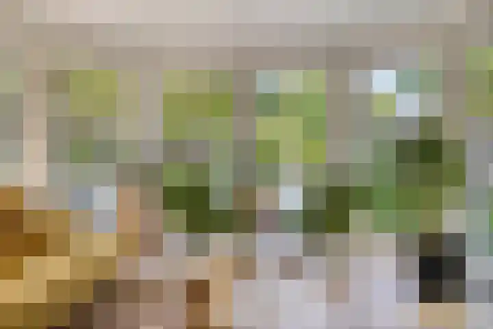 Alphensebaan 4 Chaam thumbnail 10