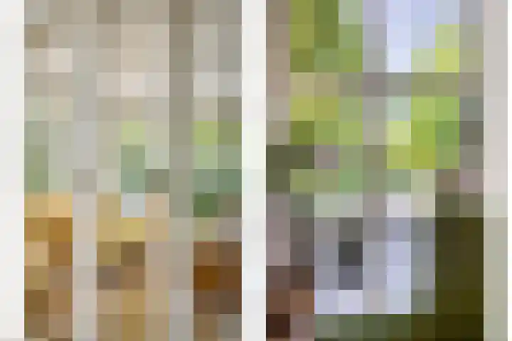 Alphensebaan 4 Chaam thumbnail 11