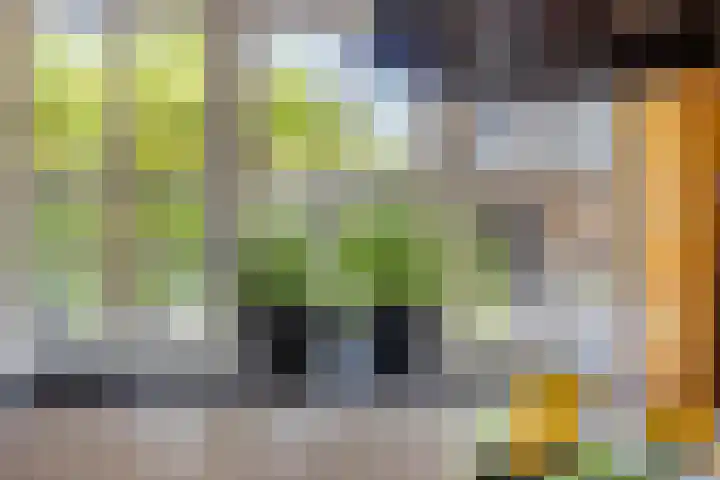 Alphensebaan 4 Chaam thumbnail 14